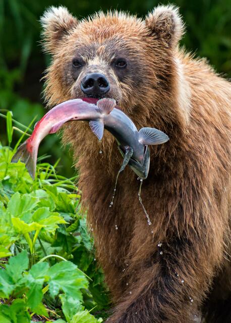 Die Bilder der Meidlinger Fotogruppe können sich wahrlich sehen lassen. | Foto: Michael Weichinger