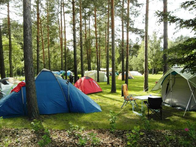 Der Campingurlaub wird oft dem klassischen "Strandurlaub" vorgezogen. | Foto: camping.info