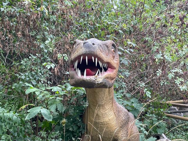 Wilde Kreaturen im Dinopark | Foto: Katrin Pirzl