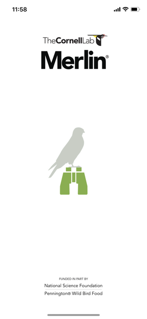 Mit unserem App-Tipp der Woche Merlin Bird ID können weltweit mehr als 5000 Vogelarten am Gesang identifiziert werden. | Foto: Screenshot