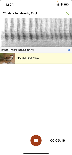 Mit unserem App-Tipp der Woche Merlin Bird ID können weltweit mehr als 5000 Vogelarten am Gesang identifiziert werden. | Foto: Screenshot