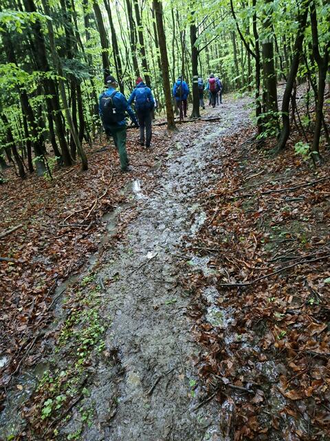 Foto: Hochmuth