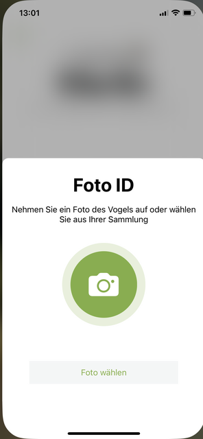 Mit unserem App-Tipp der Woche Merlin Bird ID können weltweit mehr als 5000 Vogelarten am Gesang identifiziert werden. | Foto: Screenshot