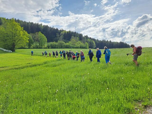 Foto: Hochmuth