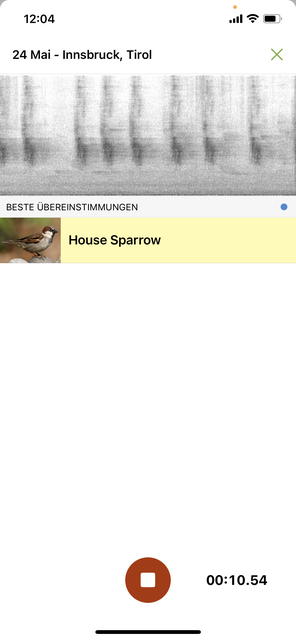 Mit unserem App-Tipp der Woche Merlin Bird ID können weltweit mehr als 5000 Vogelarten am Gesang identifiziert werden. | Foto: Screenshot