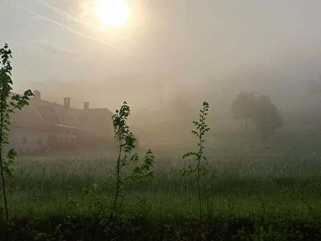 Foto: Hochmuth