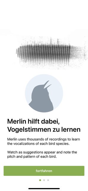 Mit unserem App-Tipp der Woche Merlin Bird ID können weltweit mehr als 5000 Vogelarten am Gesang identifiziert werden. | Foto: Screenshot
