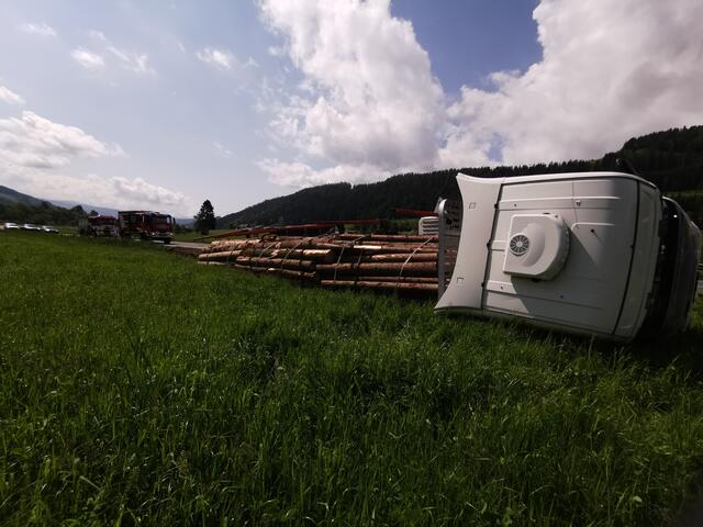 Foto: Bachhiesl