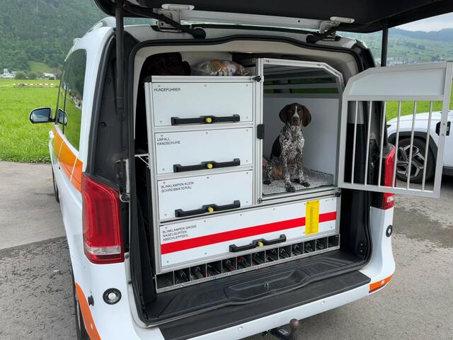 "Chili" in Action. | Foto: Ineichen