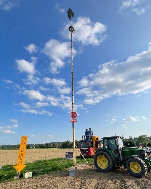 Am Viehhap neben den Gleisen wurde in Fladnitz im Raabtal ein neuer Maibaum als Protest gegen die B 68 neu aufgestellt. | Foto: Privat