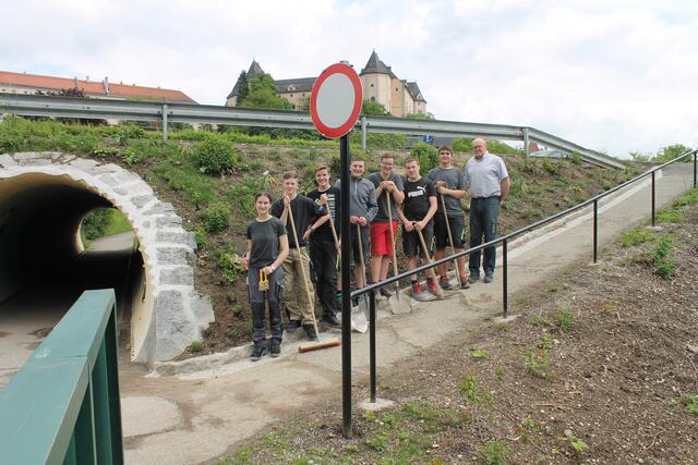 Schüler der Bau/Holz-Gruppe mit Lehrer Bernhard Ginthör. | Foto: PTS Grein