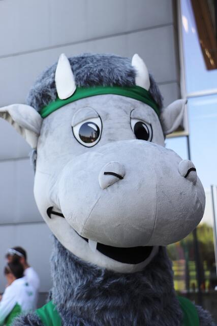 Mit beim SUMIDAY das Maskottchen Sumi, der steirische Panther, der für Freude und Motivation für Bewegung und Sport bei den Kindern sorgte.  | Foto: Edith Ertl