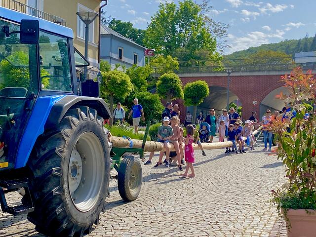 Foto: ©️ Alejandra Ortiz