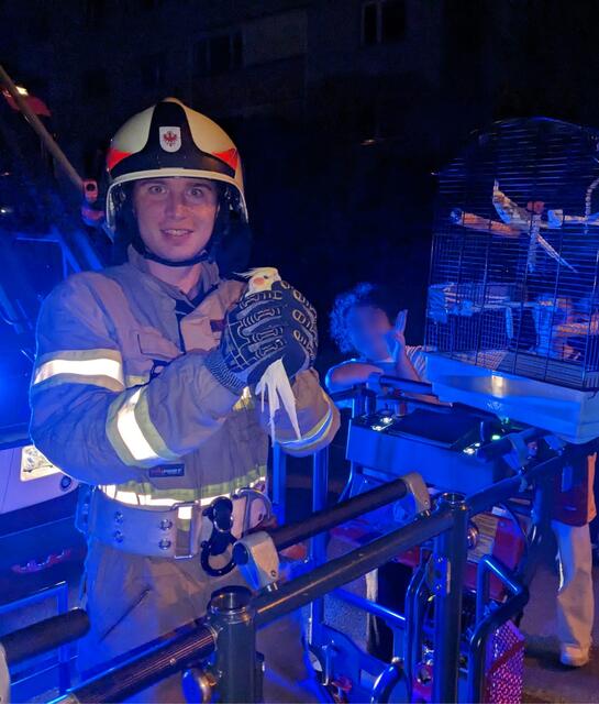 Der entflogene Papagei "Sirin" konnte erfolgreich eingefangen und an seinen Besitzer zurück übergeben werden. | Foto: Feuerwehr Landeck