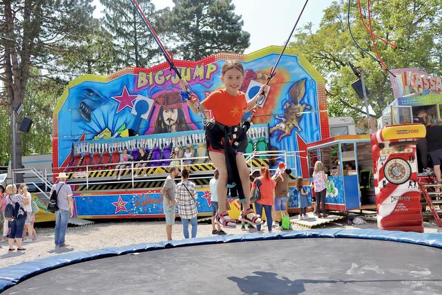 Foto: ©️ Alejandra Ortiz