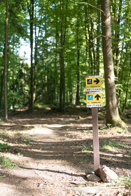 Die Beschilderung der naturnahen Trails erfolgt bereits nach neuer Ö-Norm Beschilderung. | Foto: Foto: Martin Dörsch, MTB Linz