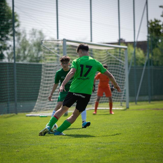 Klicken Sie sich durch die weiteren Bilder | Foto: Jan Ziegler