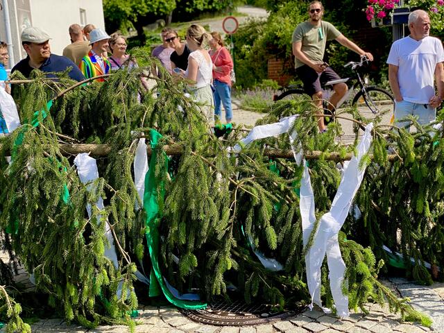 Foto: ©️ Alejandra Ortiz