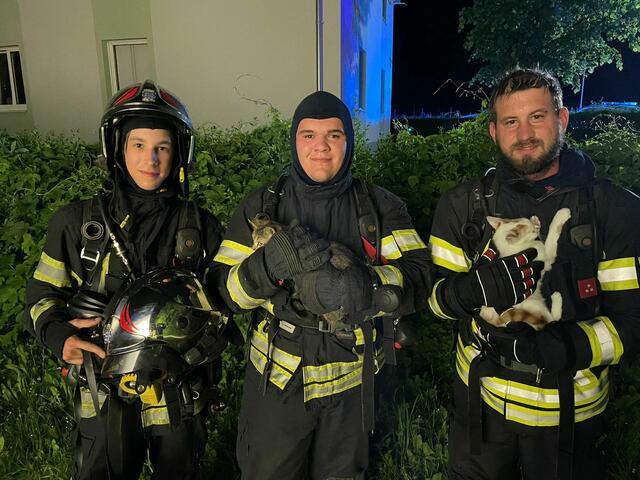 Happy End für die Katzen aus der brennenden Wohnung. | Foto: Freiwillige Feuerwehr Neunkirchen