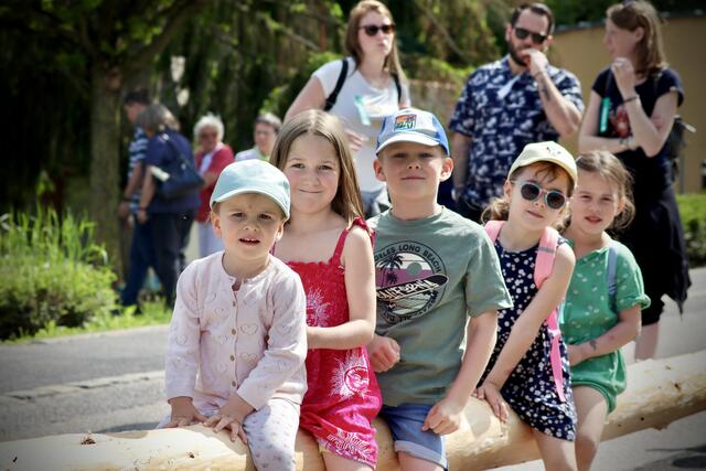 Foto: ©️ Alejandra Ortiz