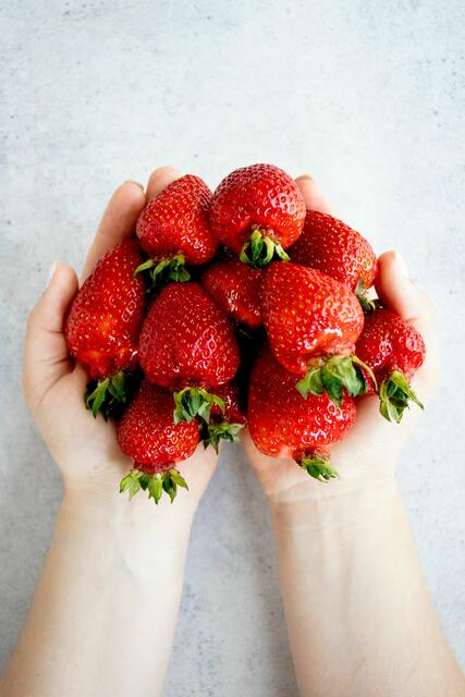 Auf Regen folgt wie so oft Sonnenschein - für die heimischen Erdbeeren gerade noch rechtzeitig: Ab dem Wochenende starten die heimischen Produzentinnen und Produzenten mit der Beerenernte. | Foto: Tetiana Bykovets/Unsplash