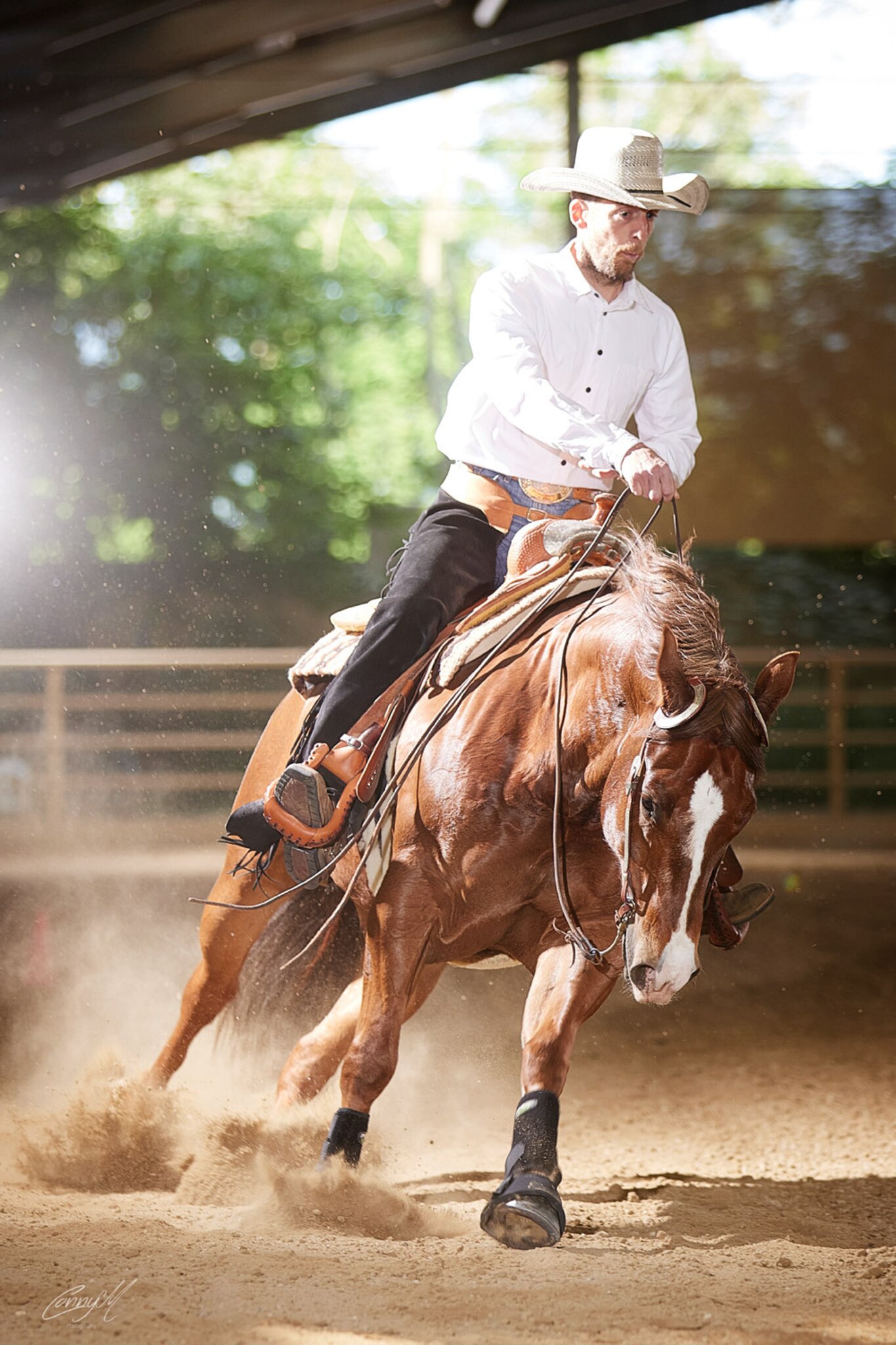 Westernreiten: Reinhard Hochreiter ist Staatsmeister in der Reining - Perg