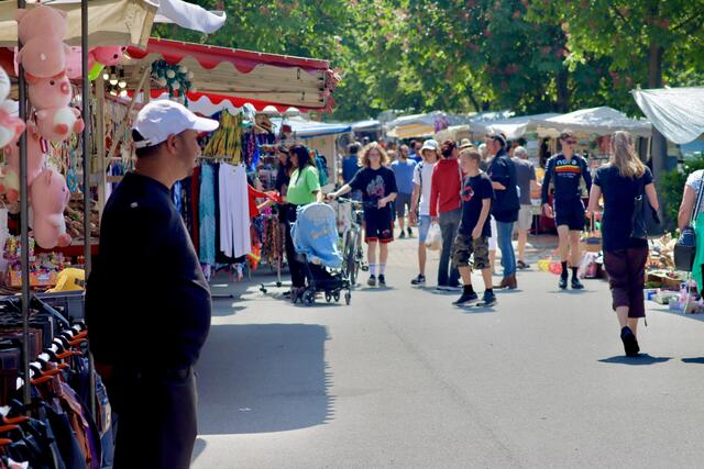 Foto: ©️ Alejandra Ortiz