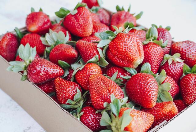 Erdbeeren sind der ideale Sommergenuss für Figurbewusste: 100 Gramm enthalten lediglich 35 Kalorien. | Foto: Thalia Ruiz/Unsplash