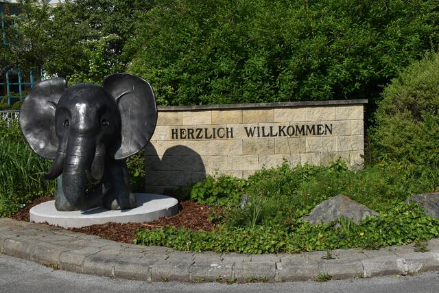 Foto: Michael Strini