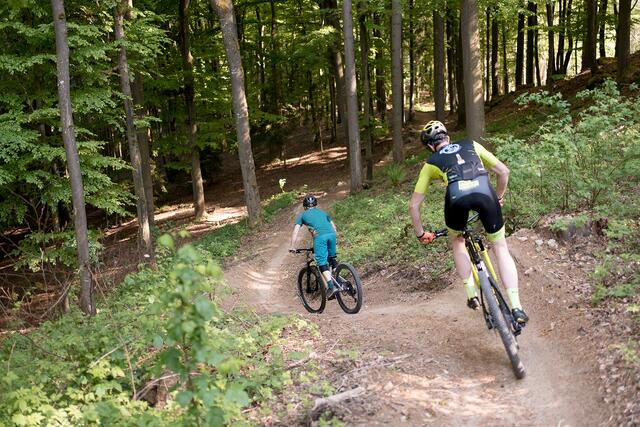 Naturnah, einfach befahrbar und mit zahlreichen Auf- und Abfahrten. Am Roadlberg befinden sich Mountainbike-Trails in allen Schwierigkeitsgraden. | Foto: Foto: Martin Dörsch, MTB Linz