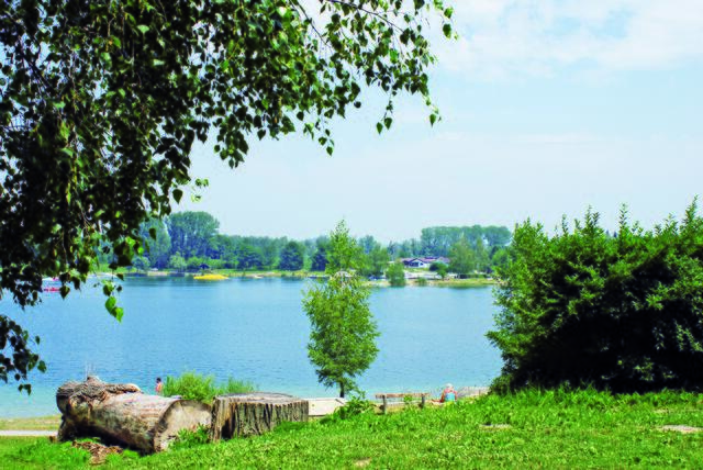 Inmitten der Donauauen liegt der 23 Hektar große Ausee. Hier fühlen sich Wasserratten wie zuhause. Für besonders Sportliche gibt es Angebote wie Stand Up Paddling und Wasserski- und Wakeboard-Lifte.  | Foto: BRS