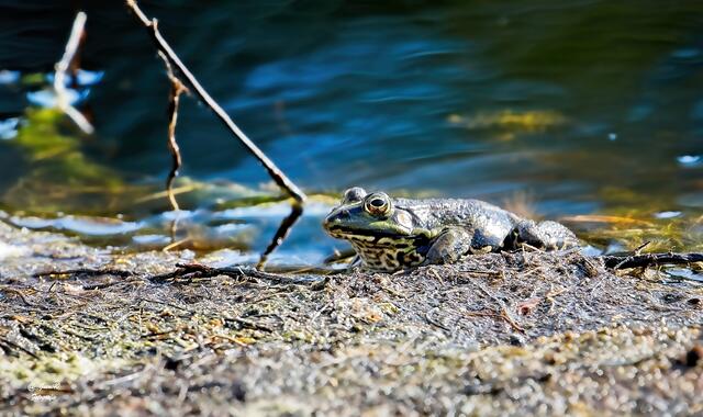 .....muss mich um einen anderen Platz umsehen ....