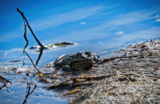 .......ist das hier rutschig ......