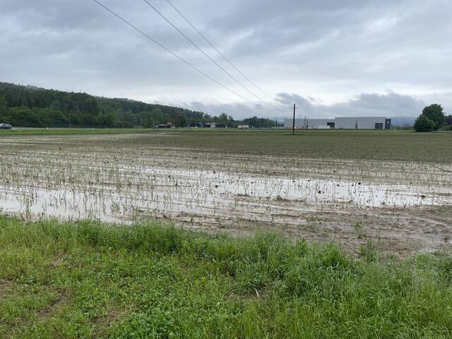 Überschwemmtes Feld in St. Ruprecht an der Raab. | Foto: Barbara Vorraber