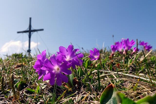 Eine rosafarbene Begrüßung beim Gipfelkreuz 