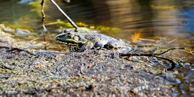 .....moahhhhh,aber so schlammig .....