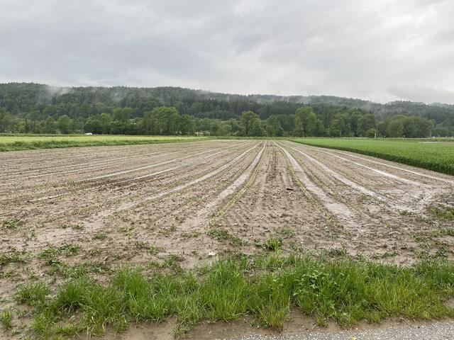 Überschwemmung, Hagel, Kälteperioden und andere Faktoren setzten den Landwirten in unserer Region stark zu. | Foto: Barbara Vorraber
