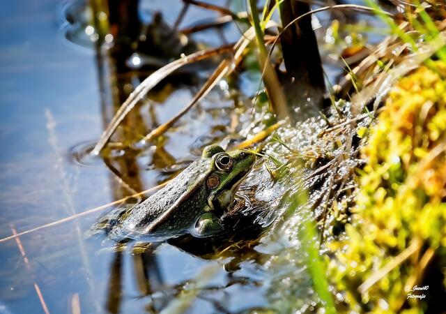 .....und jetzt geht es auch noch so hinauf ....
