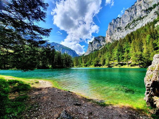 Es war ein langer Kampf, bis der Grüne See in Tragöß endlich unter Naturschutz gestellt werden konnte. | Foto: Claudia Bögner