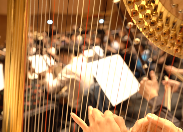 Suzhou Orchestra | Foto: Sun Li