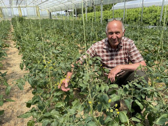 Insgesamt 70 Gemüsesorten pflanzen die Putzhammers an. Im Bild Franz Putzhammer  | Foto: Lisa Gold