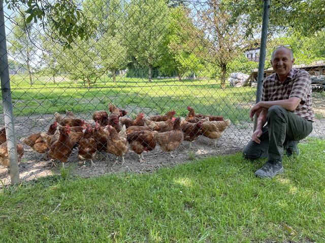 Auch Hühner leben auf dem Gabelmacher-Hof in Liefering.  | Foto: Lisa Gold