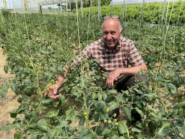 Insgesamt 70 Gemüsesorten pflanzen die Putzhammers an. Im Bild Franz Putzhammer  | Foto: Lisa Gold