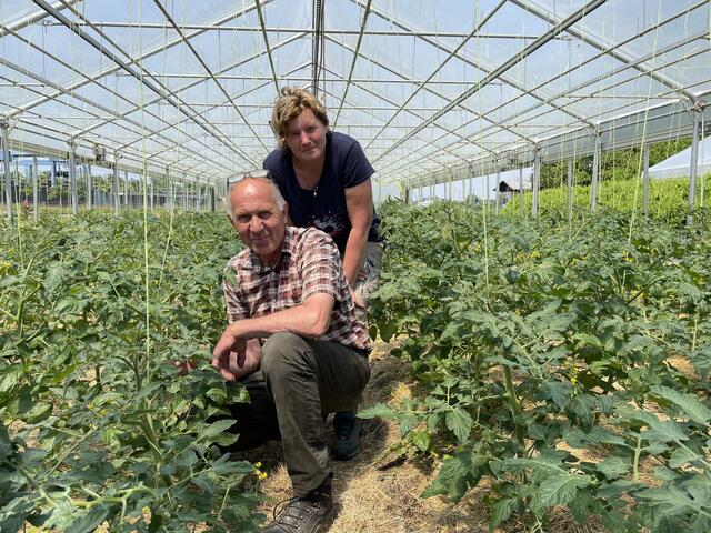 Für Maria und Franz Putzhammer ist ihr Hof so etwas wie eine grüne Oase in der Stadt.  | Foto: Lisa Gold