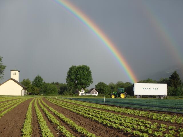 Foto: Gradnitzer/Mayr-Hof
