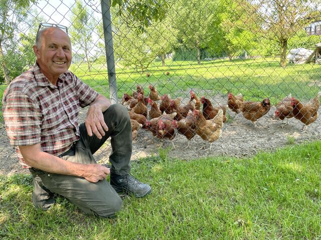 Auch Hühner leben auf dem Gabelmacher-Hof in Liefering.  | Foto: Lisa Gold