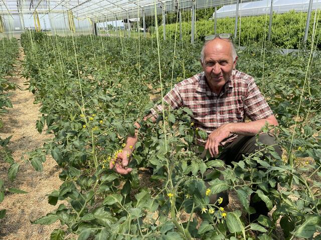Insgesamt 70 Gemüsesorten pflanzen die Putzhammers an. Im Bild Franz Putzhammer  | Foto: Lisa Gold