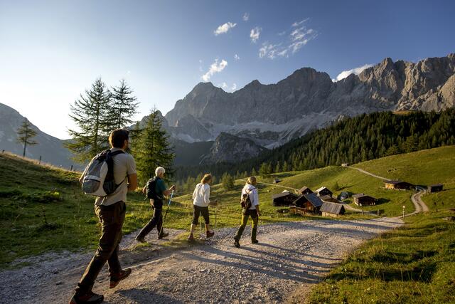 Wandern hat sich zur Trendsportart gemausert – leider auch zu Lasten der Natur. | Foto: Steiermark Tourismus/Ikarus