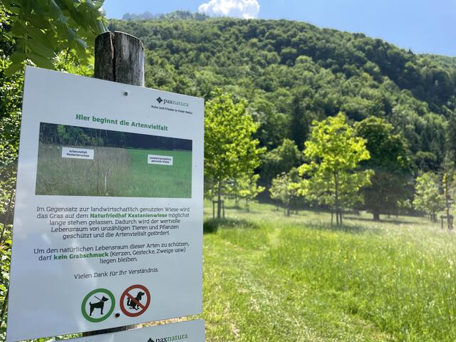 Auf dem Naturfriedhof wird auch der natürliche Bestand der Wiese erklärt.  | Foto: sm