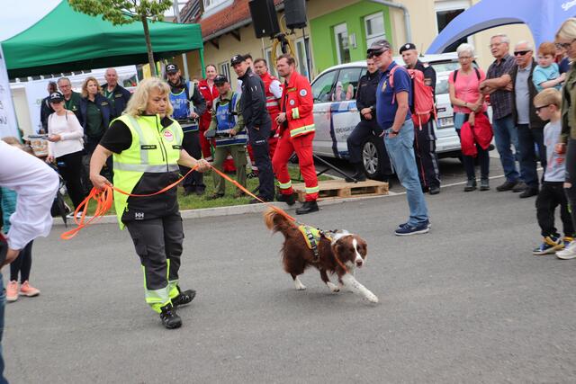 Obfrau Christine Schartel von den Rettuntshunden Graz mit ihrem Australian Shepherd. April kann auch noch nach drei bis sechs Monaten eine Spur wittern, egal, ob inzwischen Tausende darübertrampelten und Sturm und Regen fegten. | Foto: Edith Ertl